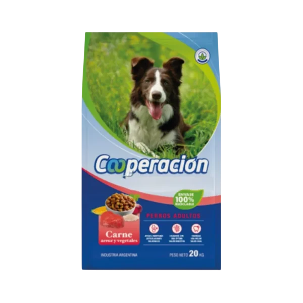 cooperacion-perro-adulto