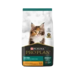PP_gato_kitten