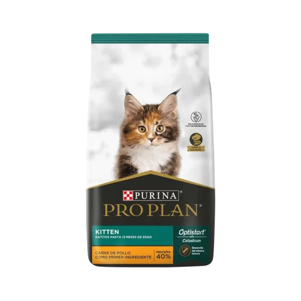 PP_gato_kitten