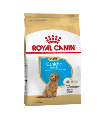 RC_caniche_poodle_jr