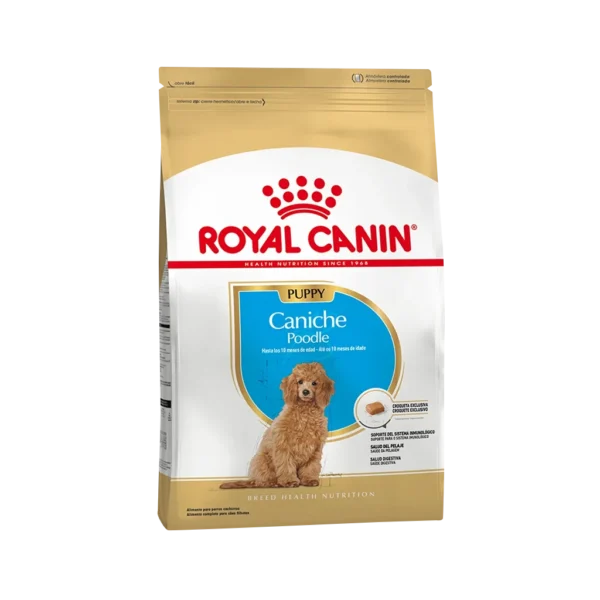 RC_caniche_poodle_jr