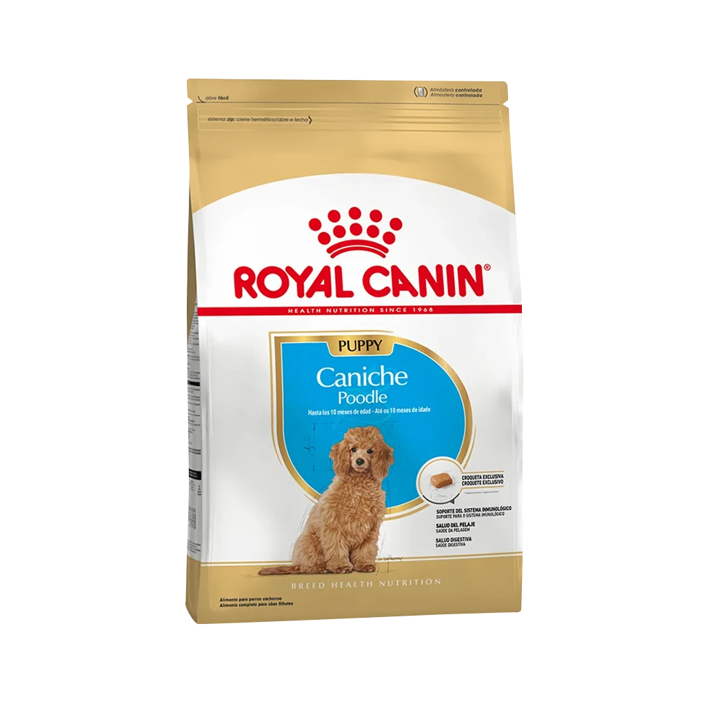 RC_caniche_poodle_jr