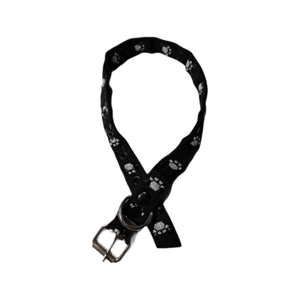 Collar Simple Huellitas Negro
