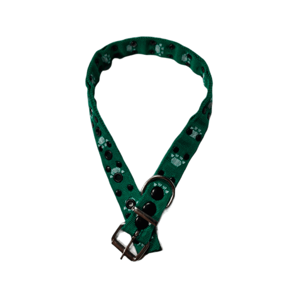 COLLAR SIMPLE HUELLITAS VERDE