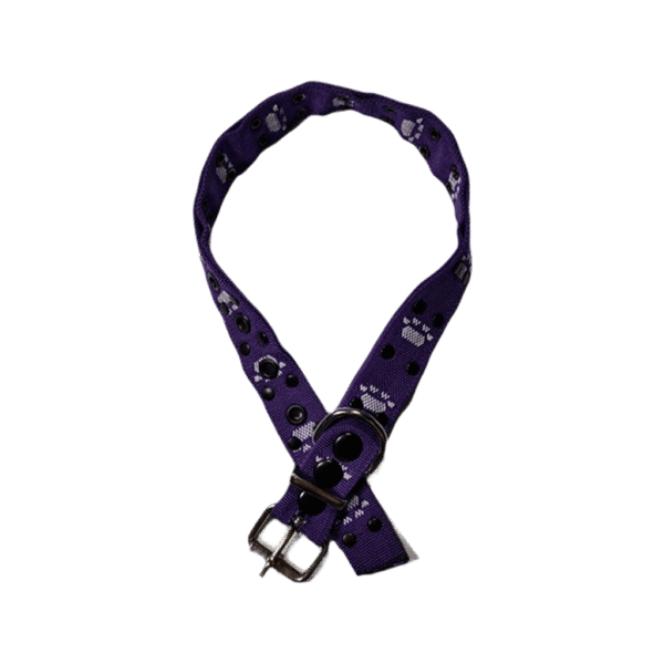 Collar Simple Huellitas Violeta