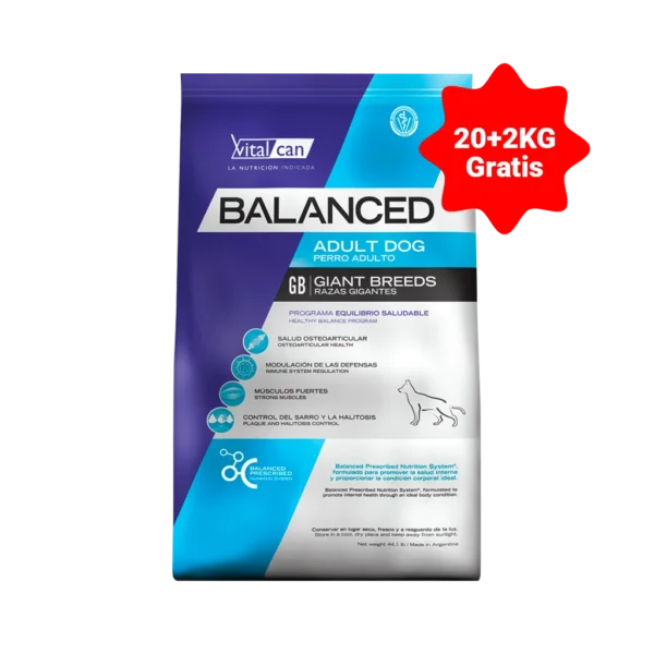 VITAL CAN BALANCED LARGE x20+2KG