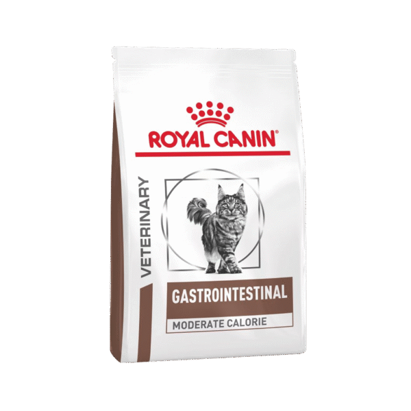 ROYAL CANIN CAT GASTROINTESTINAL x2 KG