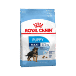 ROYAL CANIN MAXI JUNIOR x15 KG