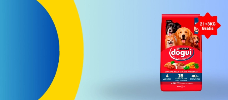 banner_dogui_21+3