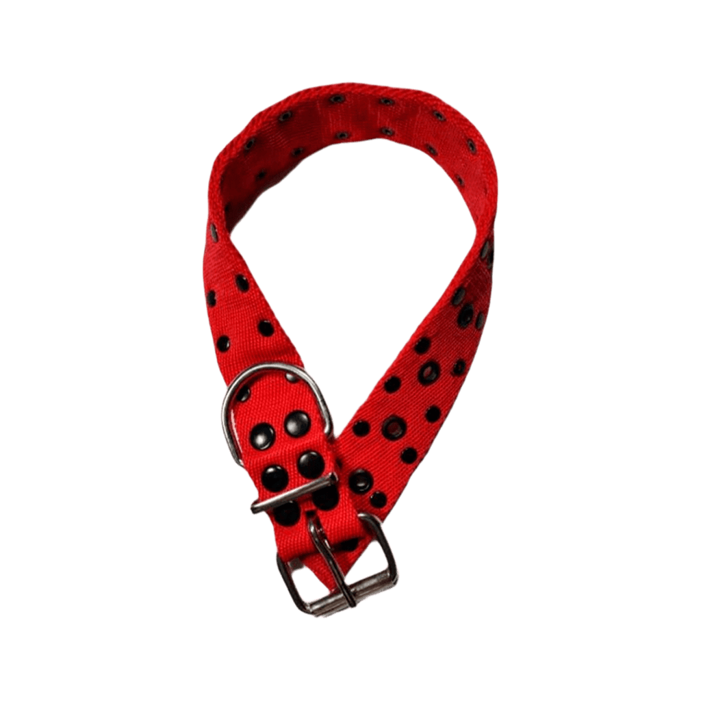 collar_tachas_rojo_2 COLLAR DOBLE REFORZADO FINO ROJO - Imagen 1