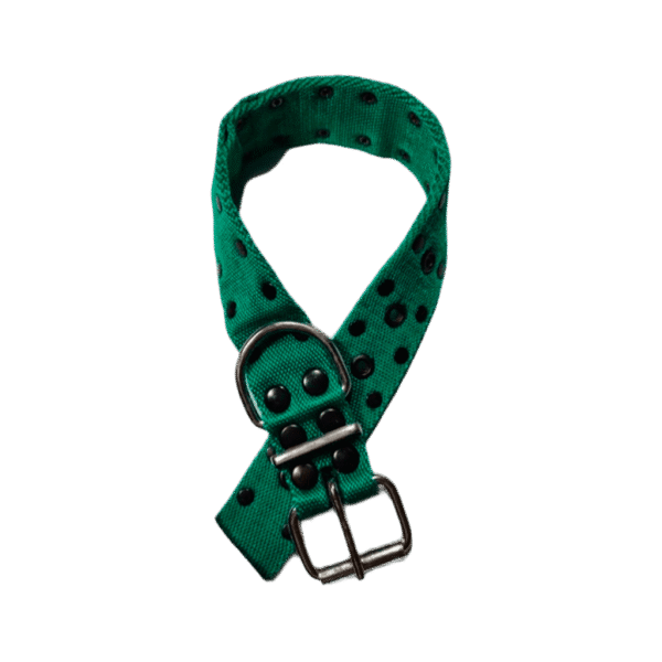 COLLAR DOBLE REFORZADO FINO VERDE