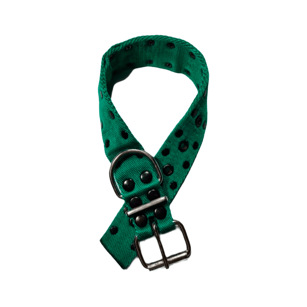 collar_tachas_verde COLLAR DOBLE REFORZADO FINO VERDE - Imagen 1