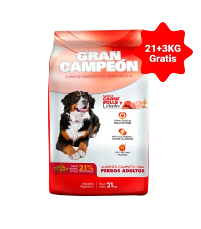 gran_cap_21_3