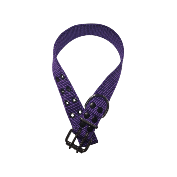 Collar Nato Doble Hebilla Violeta