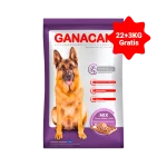 promo_gancan_22+3