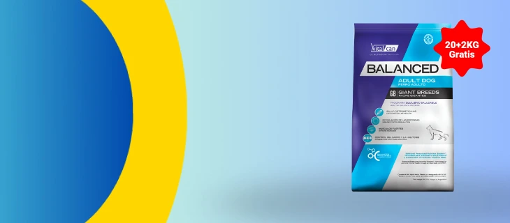 banner_chicos_balanced_GB