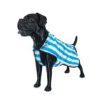 POLERA ARGENTINA TALLE 2 - Imagen 2