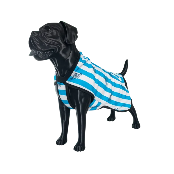 POLERA ARGENTINA TALLE 4 -  6