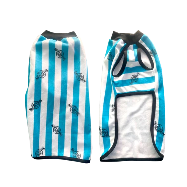 POLERA ARGENTINA TALLE 2